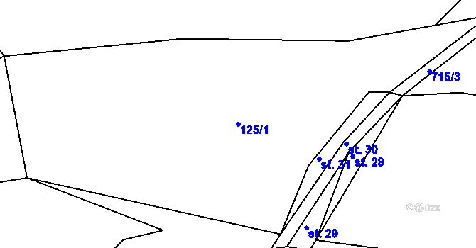 Parcela st. 125/1 v KÚ Hodonice u Malont, Katastrální mapa