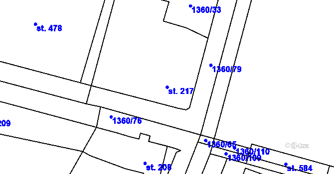 Parcela st. 217 v KÚ Malšice, Katastrální mapa