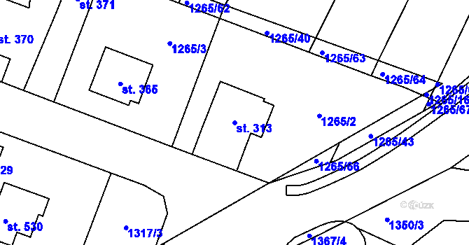 Parcela st. 313 v KÚ Malšice, Katastrální mapa