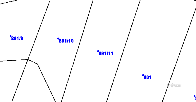 Parcela st. 891/11 v KÚ Malý Bor, Katastrální mapa