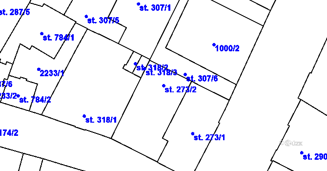 Parcela st. 273/2 v KÚ Mariánské Lázně, Katastrální mapa