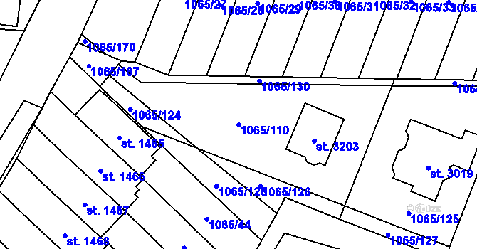 Parcela st. 1065/110 v KÚ Úšovice, Katastrální mapa