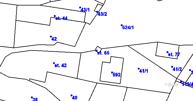 Parcela st. 65 v KÚ Skuřina, Katastrální mapa