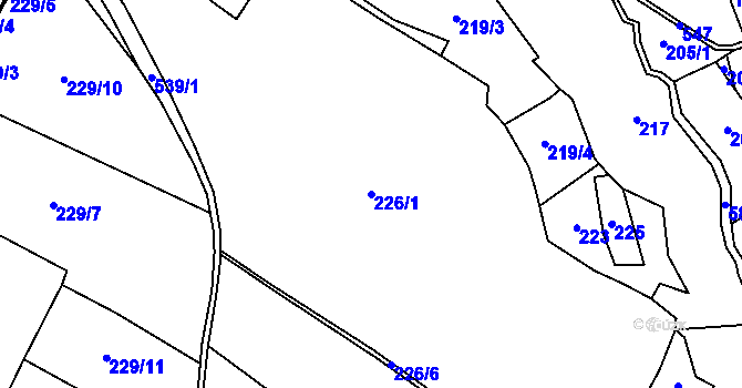 Parcela st. 226/1 v KÚ Skuřina, Katastrální mapa