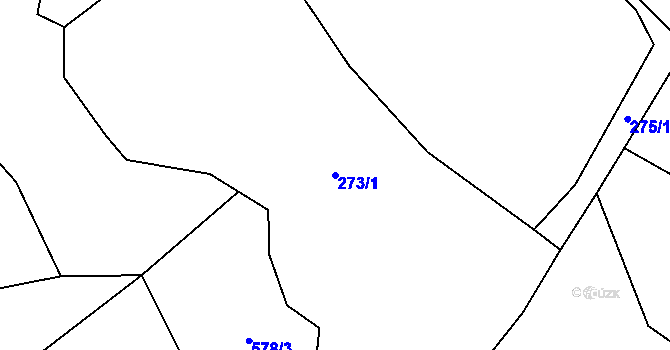 Parcela st. 273/1 v KÚ Skuřina, Katastrální mapa