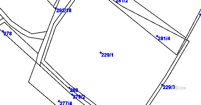 Parcela st. 229/1 v KÚ Skuřina, Katastrální mapa