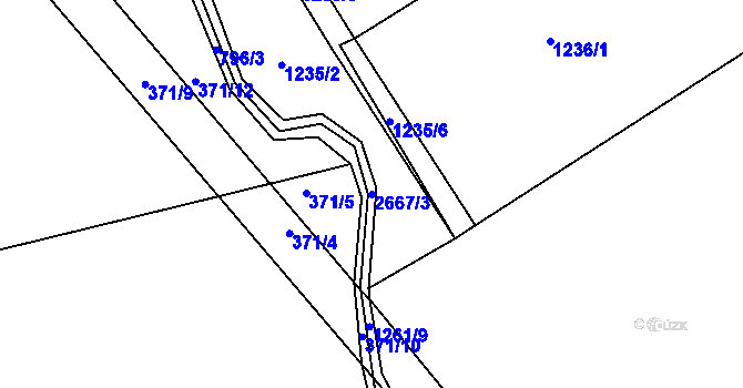 Parcela st. 2667/3 v KÚ Martinice u Skutče, Katastrální mapa