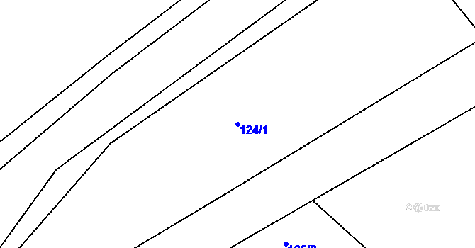 Parcela st. 124/1 v KÚ Máslovice, Katastrální mapa