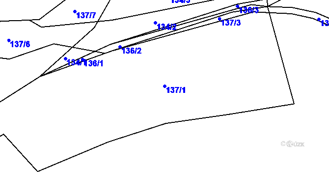 Parcela st. 137/1 v KÚ Měcholupy u Blovic, Katastrální mapa