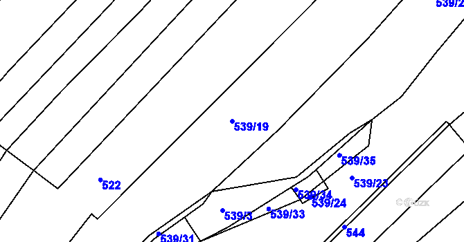 Parcela st. 539/19 v KÚ Měcholupy u Blovic, Katastrální mapa