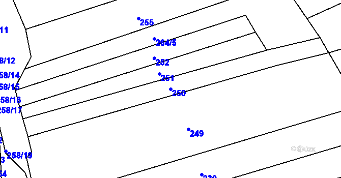 Parcela st. 250 v KÚ Merklín u Přeštic, Katastrální mapa