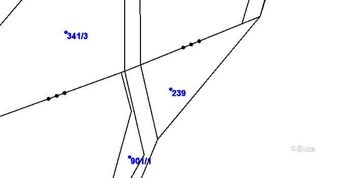 Parcela st. 239 v KÚ Městečko u Křivoklátu, Katastrální mapa