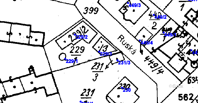 Parcela st. 229/3 v KÚ Město Touškov, Katastrální mapa