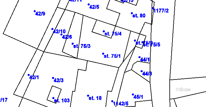 Parcela st. 75/1 v KÚ Mezilesí, Katastrální mapa