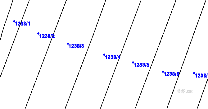 Parcela st. 1238/4 v KÚ Mezná u Pelhřimova, Katastrální mapa