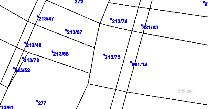 Parcela st. 213/75 v KÚ Mezno, Katastrální mapa
