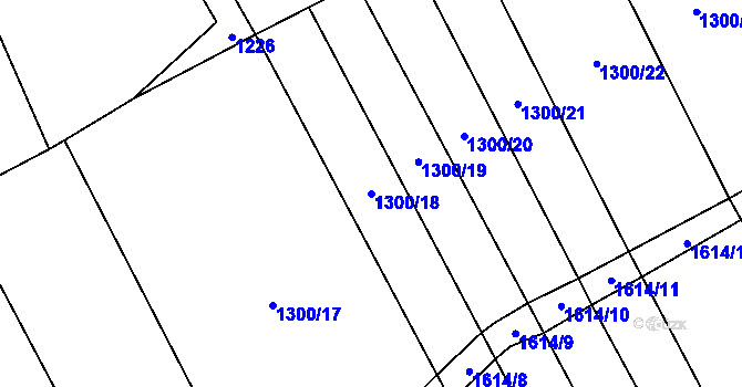 Parcela st. 1300/18 v KÚ Rohozec u Žehušic, Katastrální mapa