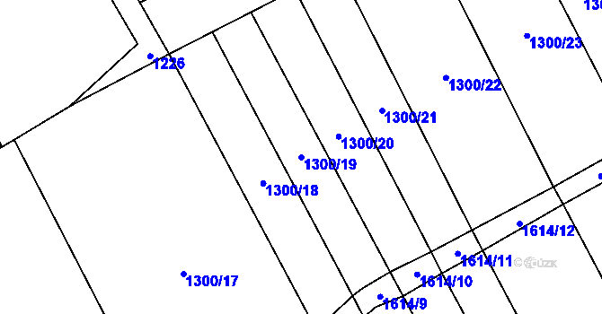 Parcela st. 1300/19 v KÚ Rohozec u Žehušic, Katastrální mapa