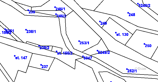 Parcela st. 253/1 v KÚ Mikulášovice, Katastrální mapa