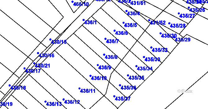Parcela st. 436/8 v KÚ Mikulčice, Katastrální mapa