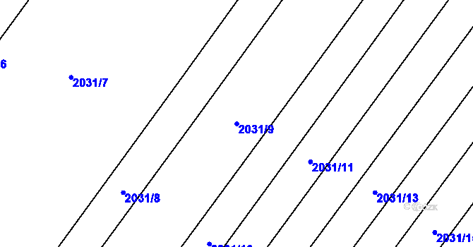 Parcela st. 2031/9 v KÚ Mikulčice, Katastrální mapa
