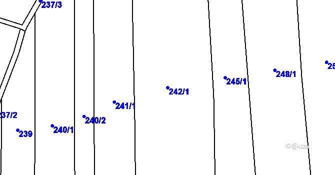 Parcela st. 242/1 v KÚ Blato, Katastrální mapa