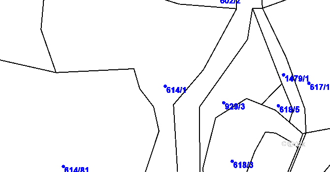 Parcela st. 614/1 v KÚ Milavče, Katastrální mapa