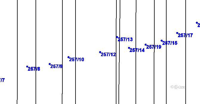 Parcela st. 257/12 v KÚ Milčice u Peček, Katastrální mapa