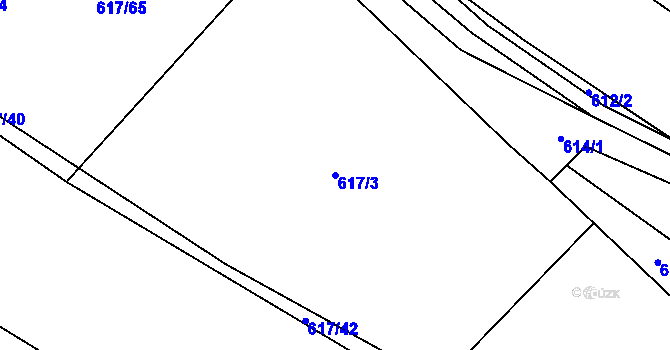 Parcela st. 617/3 v KÚ Záhoří u Miličína, Katastrální mapa
