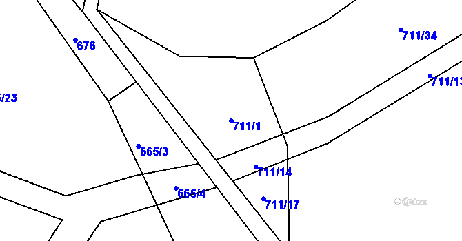 Parcela st. 711/1 v KÚ Vysoká u Havlíčkova Brodu, Katastrální mapa