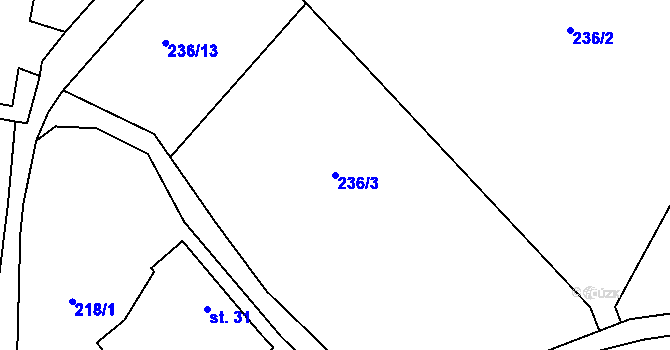 Parcela st. 236/3 v KÚ Miřetice u Nasavrk, Katastrální mapa