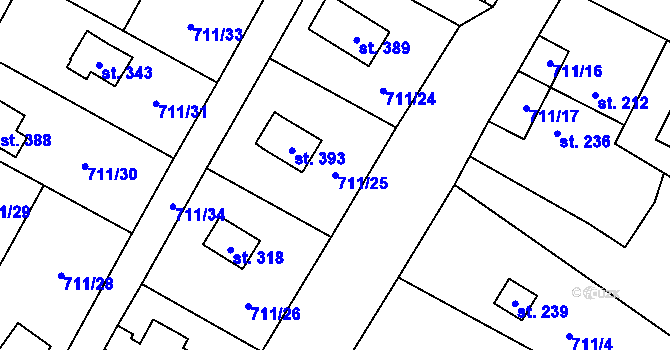 Parcela st. 711/25 v KÚ Miřetice u Nasavrk, Katastrální mapa