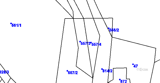 Parcela st. 557/3 v KÚ Blahuňov, Katastrální mapa