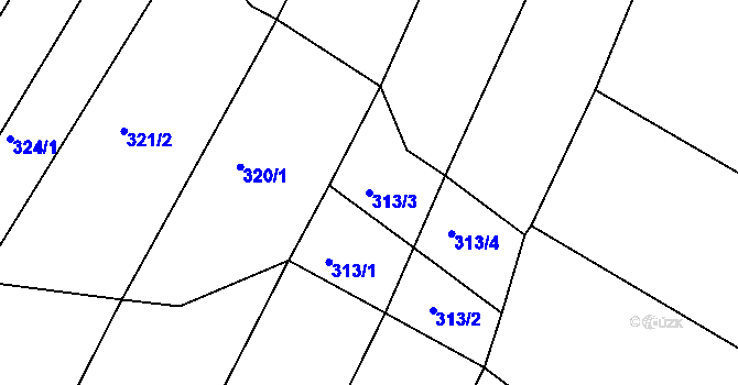 Parcela st. 313/3 v KÚ Javorovec, Katastrální mapa