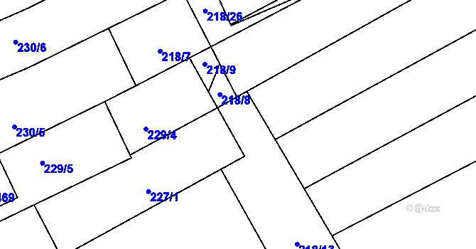 Parcela st. 218/10 v KÚ Mistřice I, Katastrální mapa