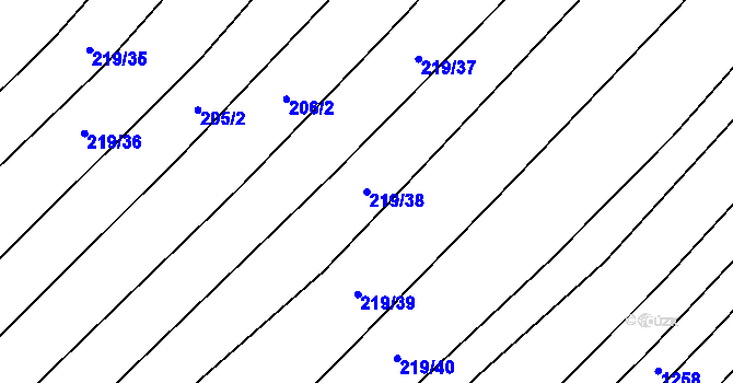 Parcela st. 219/38 v KÚ Mistřice I, Katastrální mapa