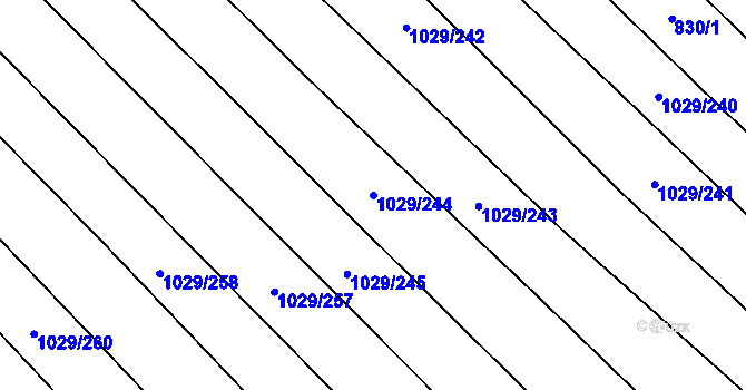 Parcela st. 1029/244 v KÚ Mistřice I, Katastrální mapa
