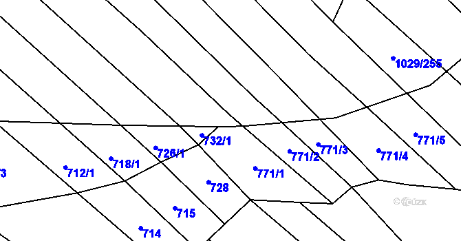 Parcela st. 1029/250 v KÚ Mistřice I, Katastrální mapa