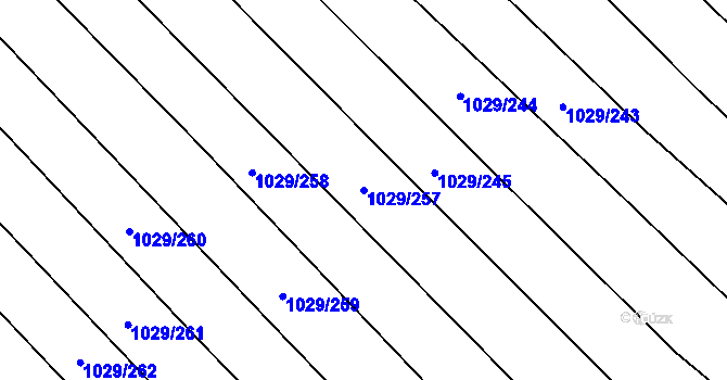 Parcela st. 1029/257 v KÚ Mistřice I, Katastrální mapa