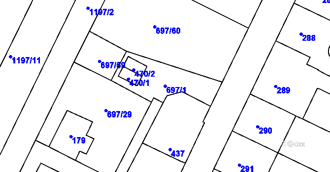 Parcela st. 697/1 v KÚ Debř, Katastrální mapa