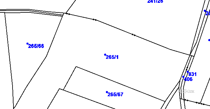Parcela st. 265/1 v KÚ Hubojedy, Katastrální mapa
