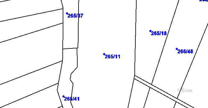 Parcela st. 265/11 v KÚ Hubojedy, Katastrální mapa