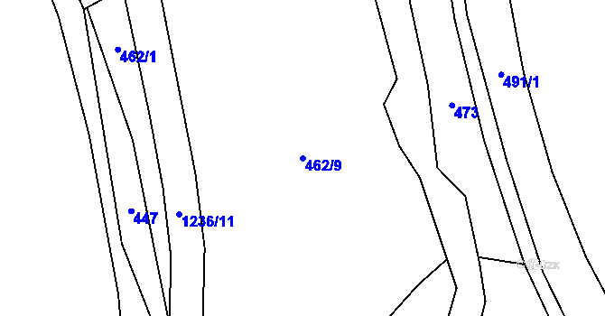 Parcela st. 462/9 v KÚ Mlýny u Choustníku, Katastrální mapa