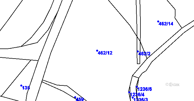 Parcela st. 462/12 v KÚ Mlýny u Choustníku, Katastrální mapa