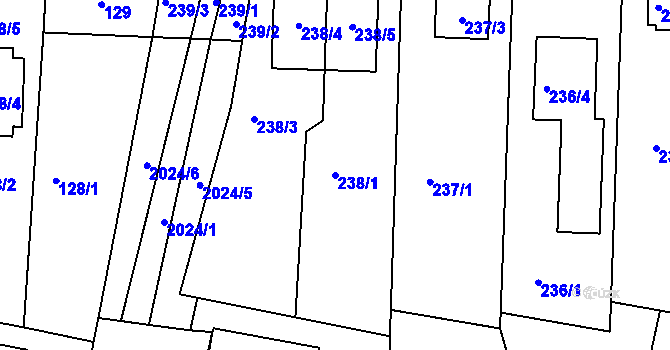 Parcela st. 238/1 v KÚ Modřice, Katastrální mapa