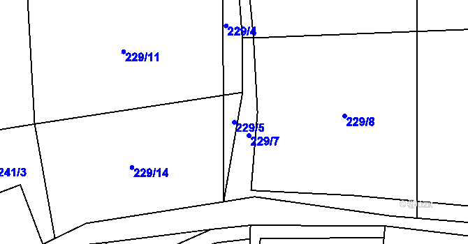 Parcela st. 229/5 v KÚ Třebčice, Katastrální mapa