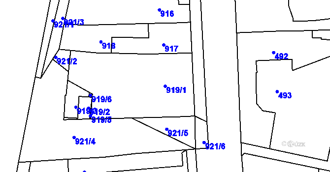 Parcela st. 919/1 v KÚ Mohelnice, Katastrální mapa