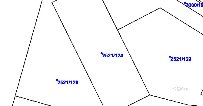 Parcela st. 2521/124 v KÚ Mohelnice, Katastrální mapa