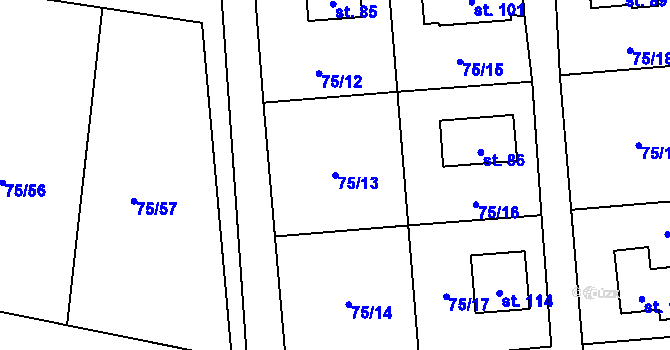Parcela st. 75/13 v KÚ Hoštice u Mochtína, Katastrální mapa