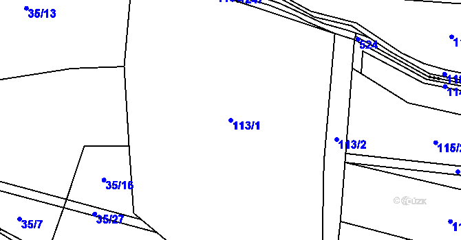 Parcela st. 113/1 v KÚ Lešišov, Katastrální mapa